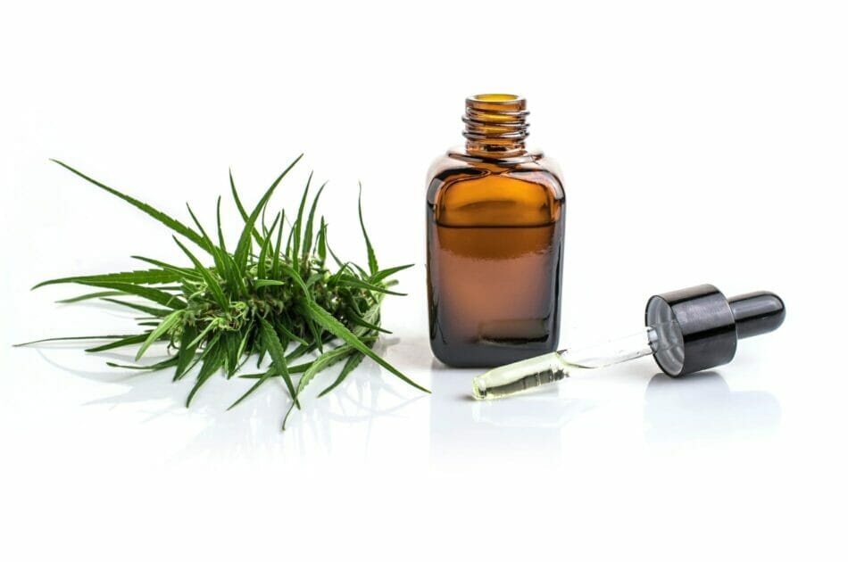 Cannabispräparate