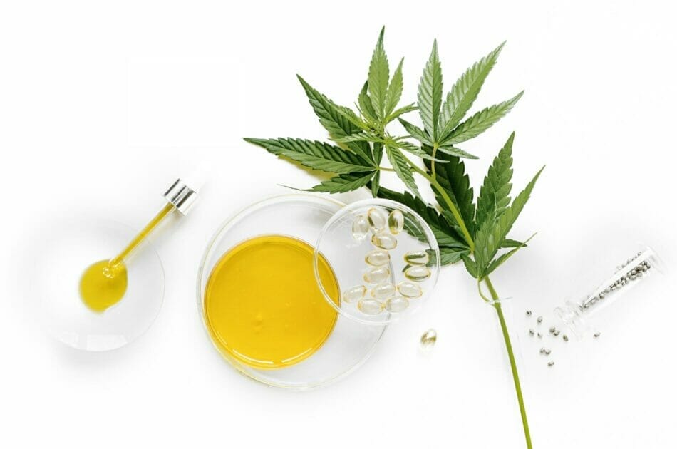 Cannabisextrakte mit Blüte