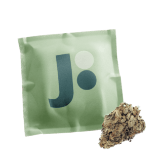 420 Evolution 30/1 CA PCH (Peach Chementine)